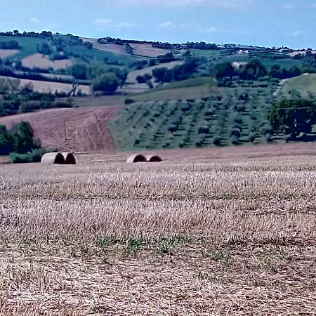 Bed and breakfast Il Nido Fano
